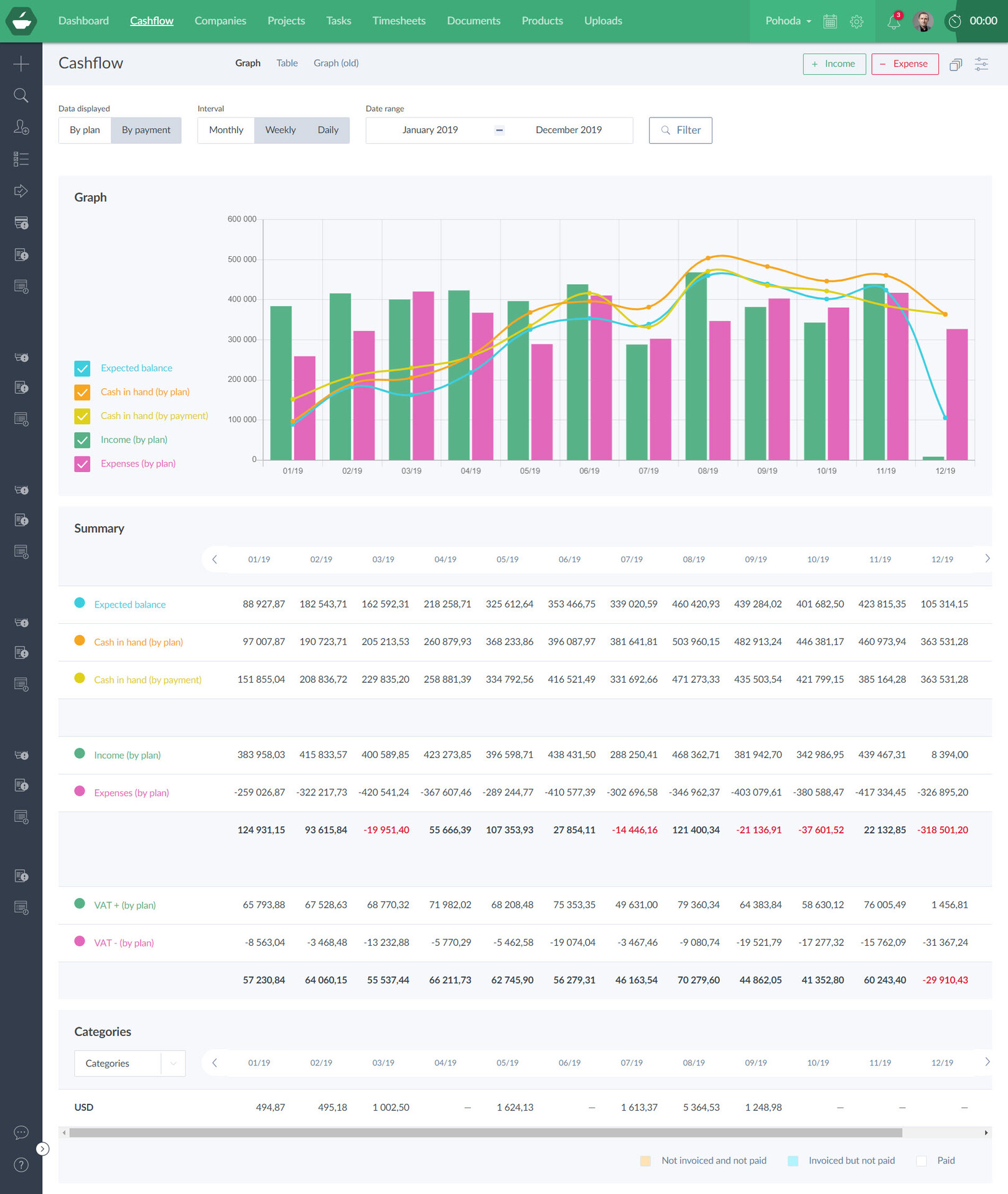 Cash flow plan/projection